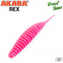 Силиконовая приманка Akara Trout Time REX 2,5" Tu-Frutti (10 шт)